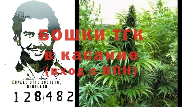 амф Чита
