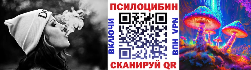 Купить  Курлово  Галлюциногенные грибы ЛСД 