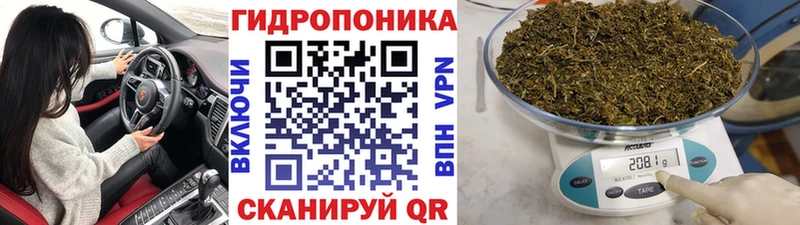 Марихуана ГИДРОПОН Купить Курлово